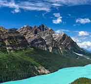 帮企业增收入的网页在线DDOS压力测试